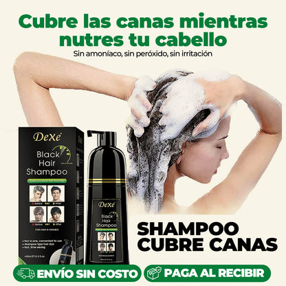Shampoo cubre canas + ENVÍO GRATIS!🔥